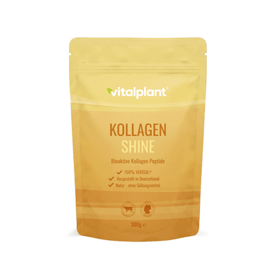 Kollagen Shine Pulver
