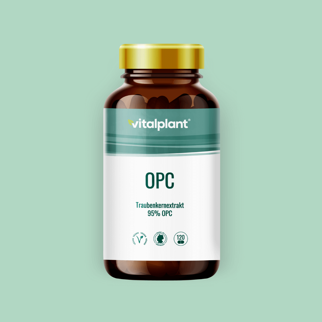 vitalplant prosta plant Order OPC grape seed extract – Antioxidant power – Vitalplant