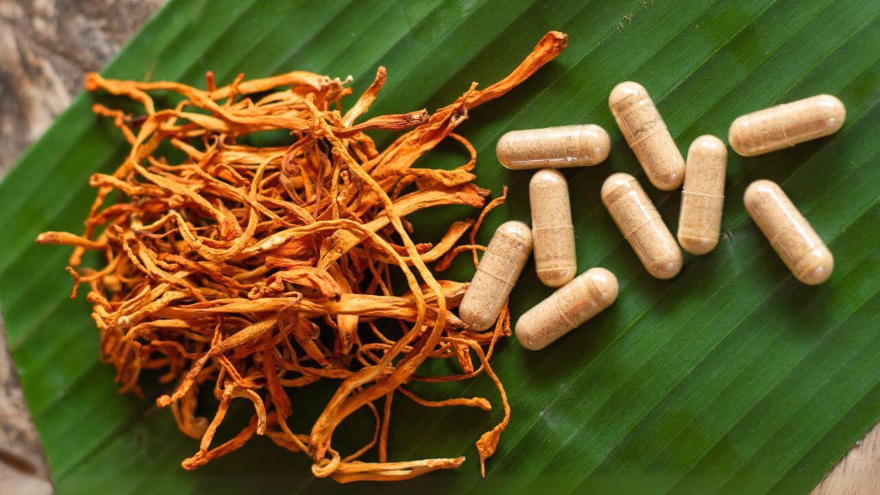 Cordyceps mushroom - a potent source of bioactive compounds, dried residues, and capsules on a green leaf.