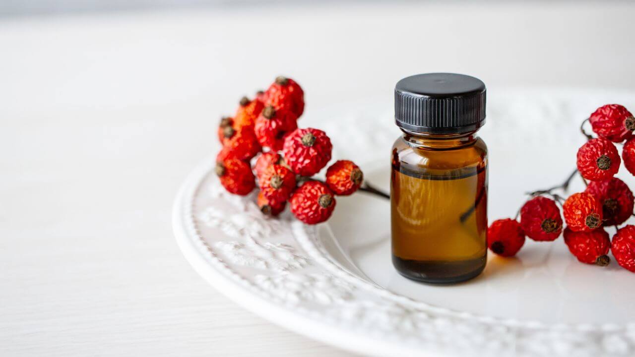 Wissenswertes zur Hagebutte und Ihrer Wirkung Symbolbild