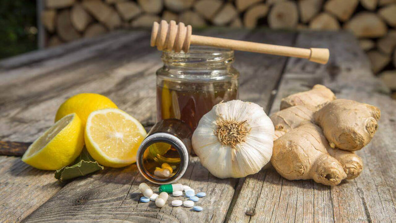 Ernährung als Medizin: Die Heilkraft unserer täglichen Nahrung mit Honig, Zitrone, Knoblauch und Ingwer.