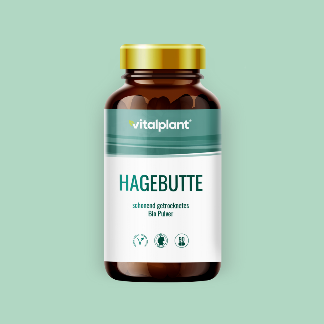 Hagebutte