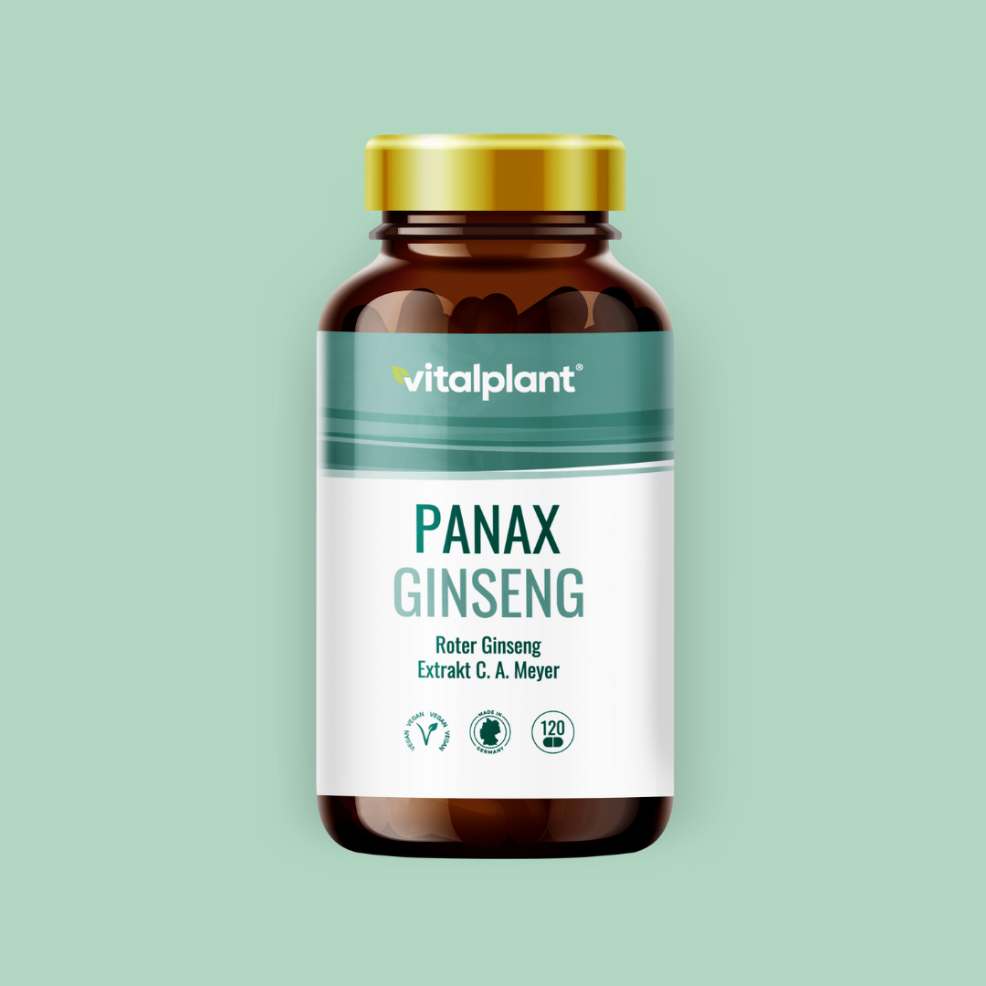 Panax Ginseng