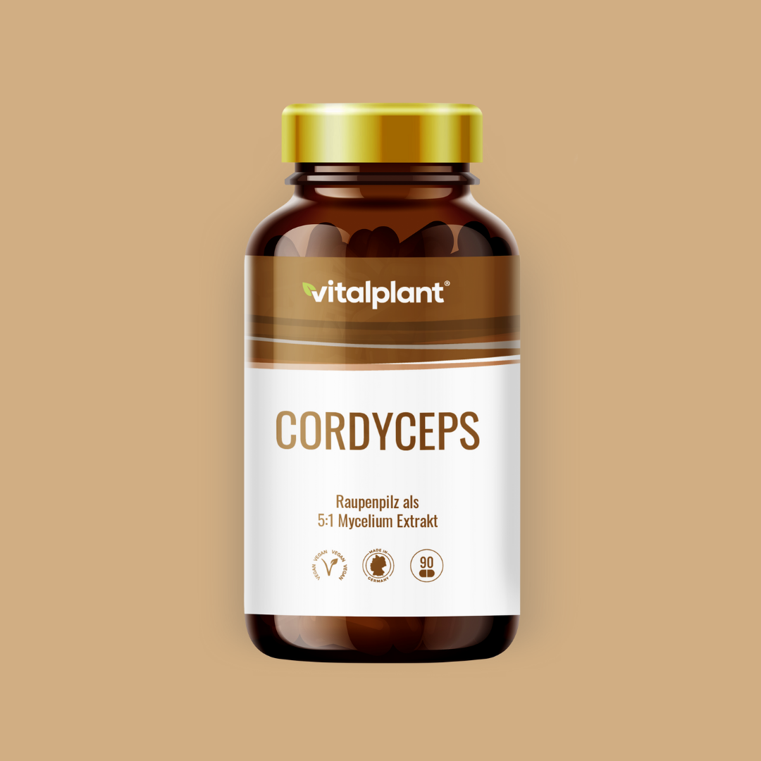Cordyceps