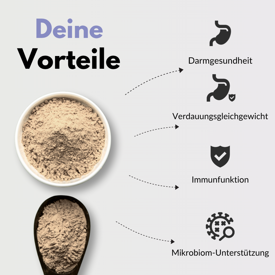 Kulturen Komplex