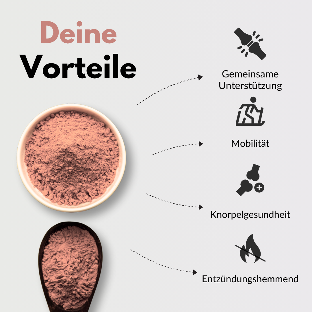 MSM & Glucosamin