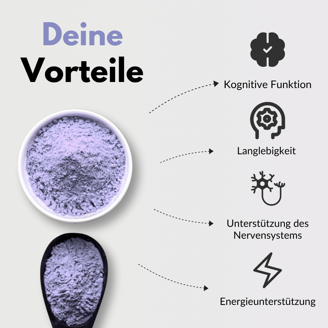 Gehirn Komplex