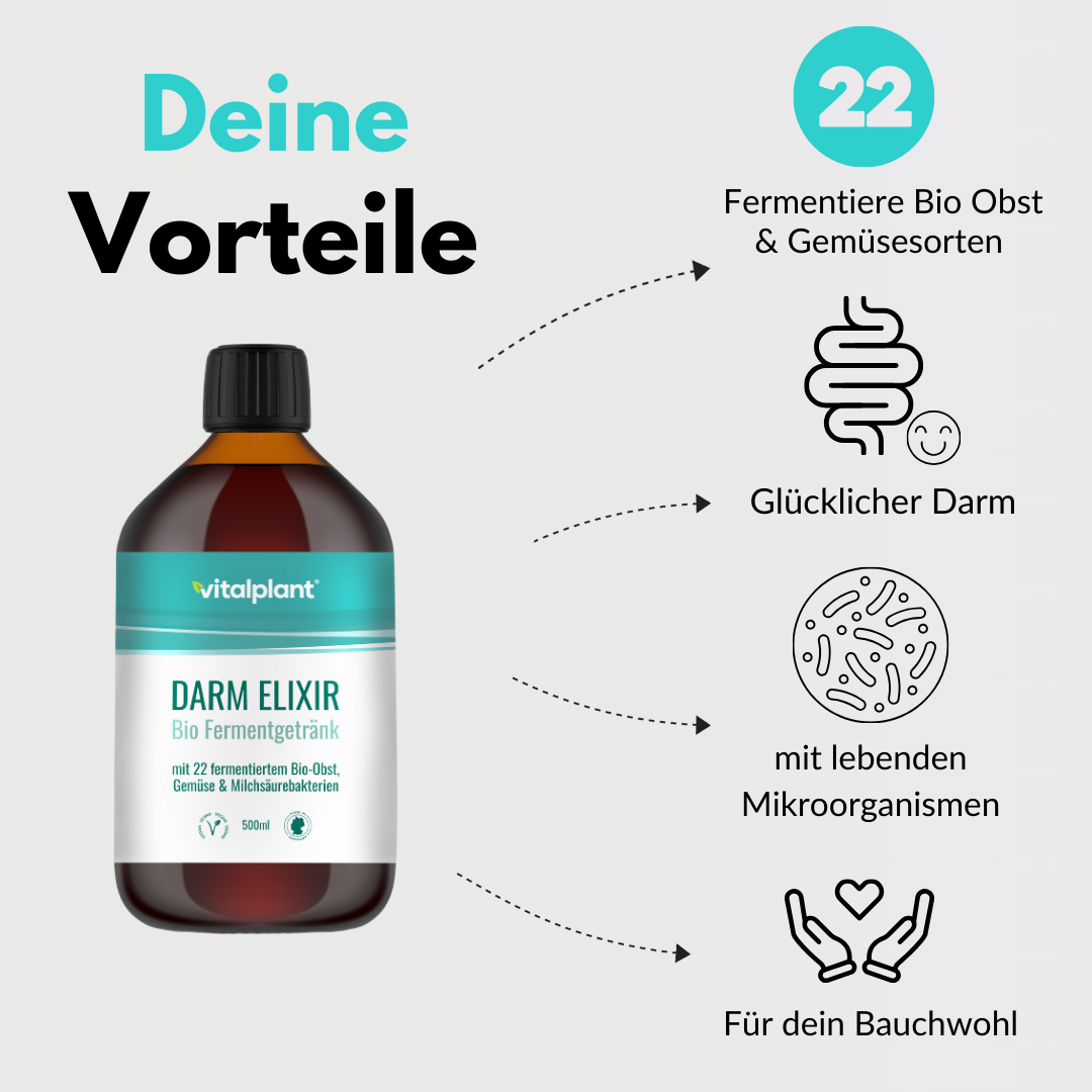 Darm Elixier