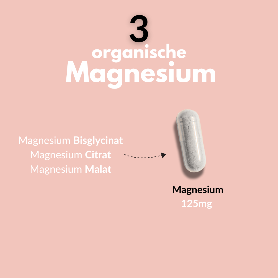 3 organische Magnesium – Magnesium Bisglycinat, Citrate, Malat mit 125mg Magnesium Komplex