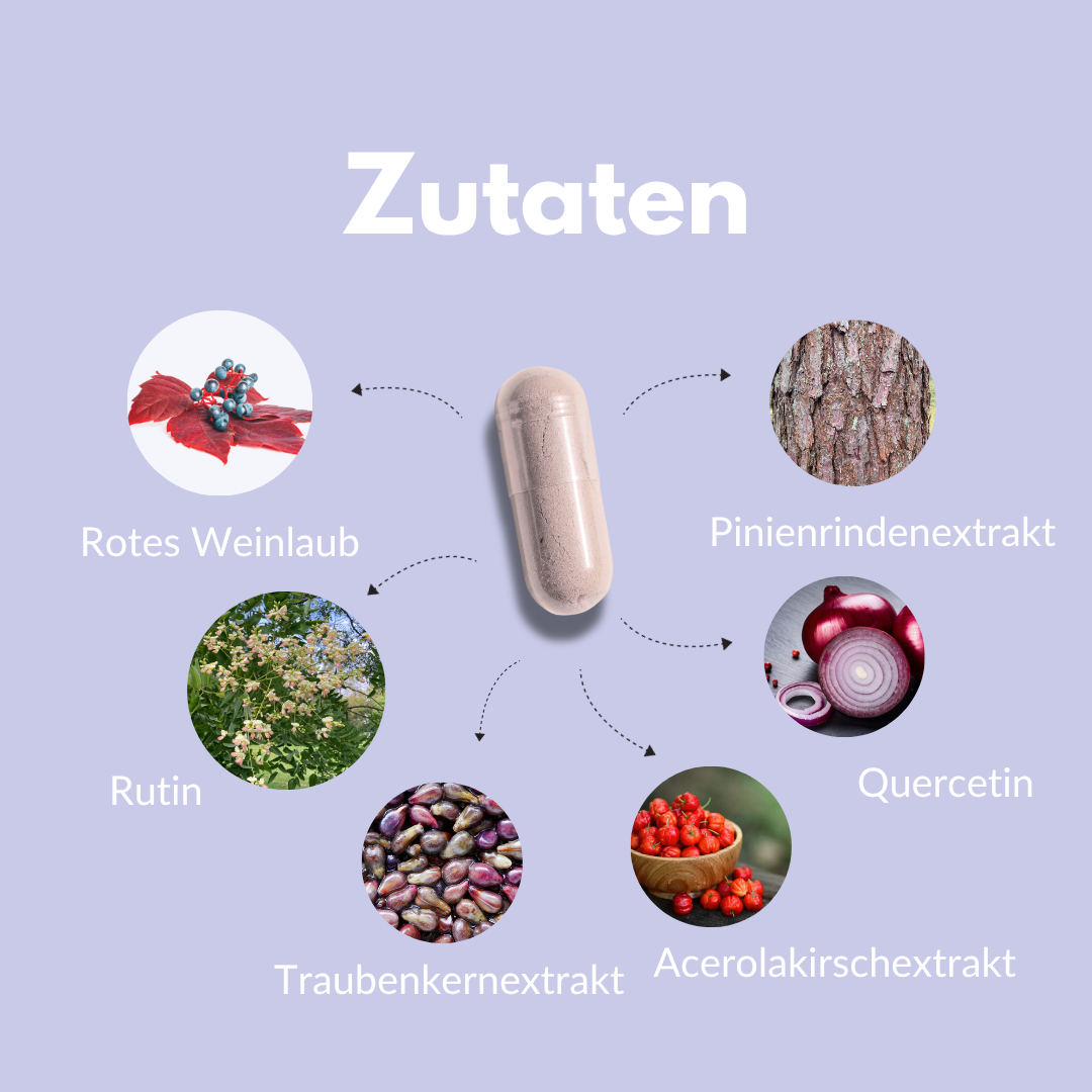 Venen Komplex