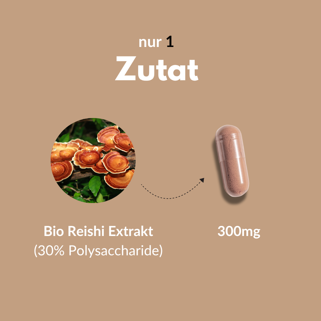 Reishi