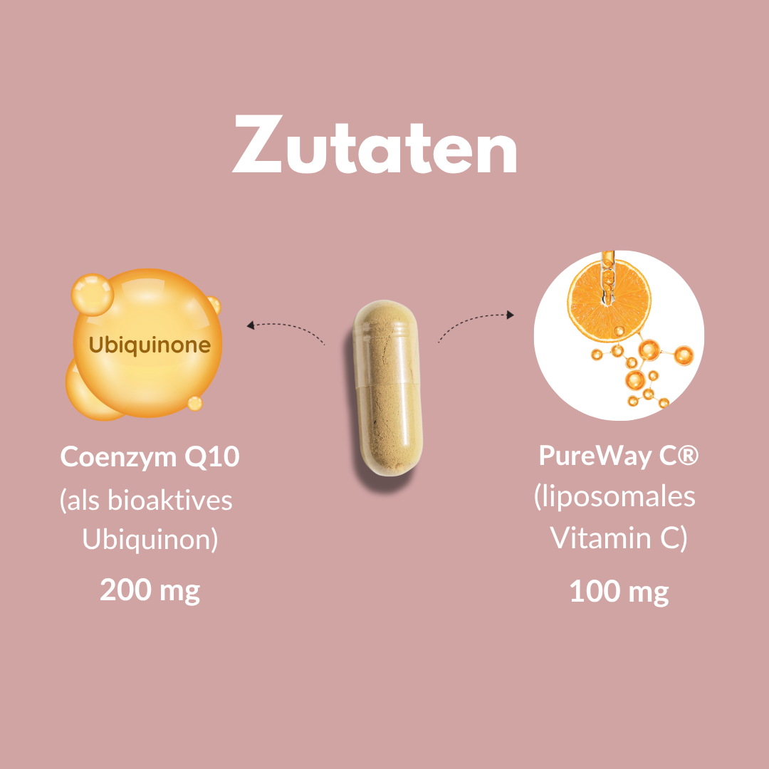 Coenzym Q10