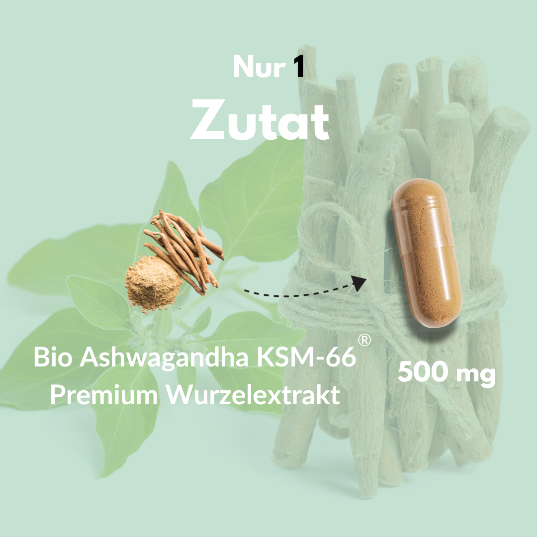 Bio Ashwagandha Kapseln