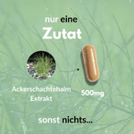 Ackerschachtelhalm Extrakt in Kapseln mit 500mg für natürliche Zellgesundheit.