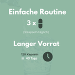 Ackerschachtelhalm einfache Routine für 40 Tage mit 120 Kapseln