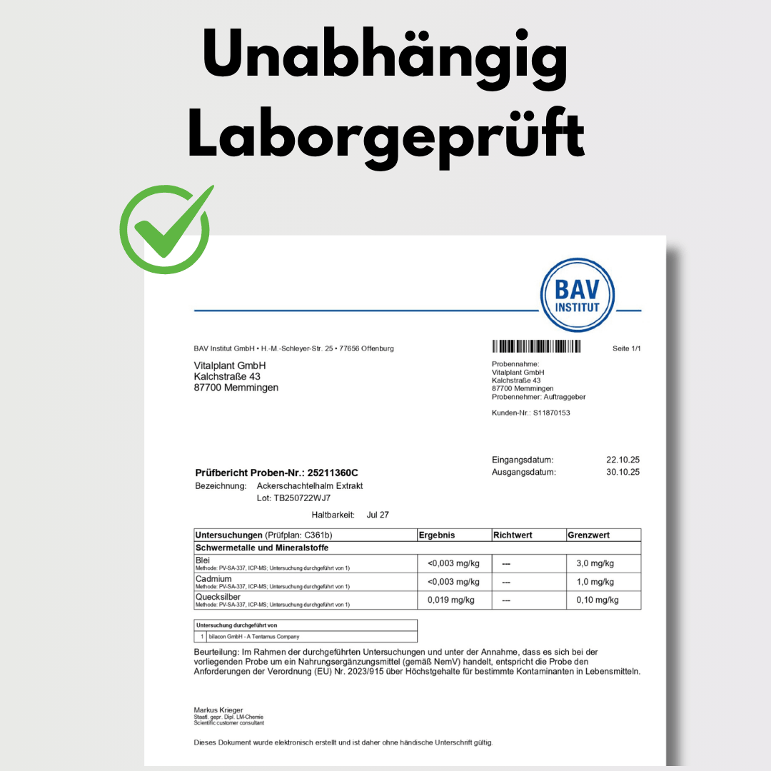 Unabhängig Laborgeprüftes Zertifikat für Ackerschachtelhalm Produkte, bestätigt durch BAV Institut.