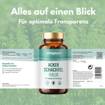 Ackerschachtelhalm Kapseln von Vitalplant mit 7% Silizium für zelluläre Gesundheit und optimale Transparenz