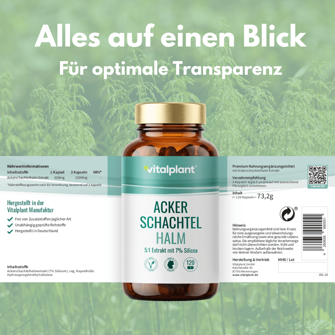 Ackerschachtelhalm Kapseln von Vitalplant mit 7% Silizium für zelluläre Gesundheit und optimale Transparenz