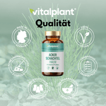 Ackerschachtelhalm Kapseln von vitalplant, 100% vegan, ohne unerwünschte Zusatzstoffe, Made in Germany.