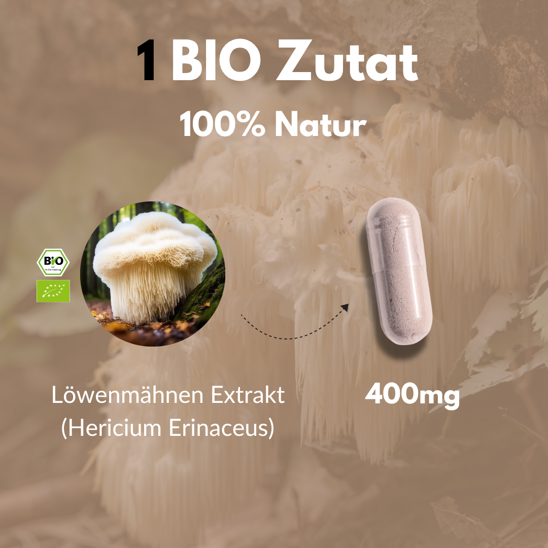 Bio Hericium (Löwenmähne) Kapseln