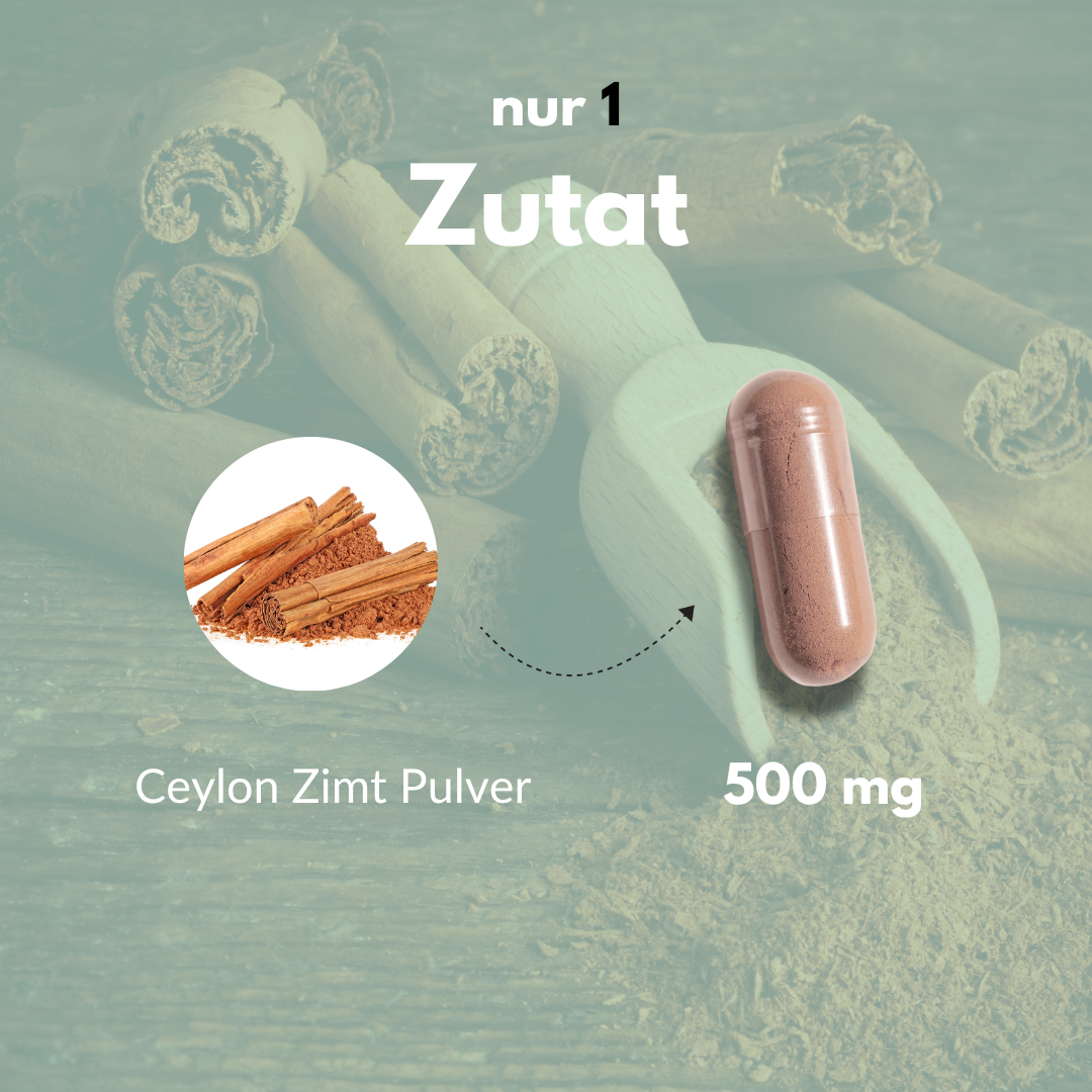 Bio Zimt Kapseln