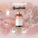 Vitamin B Komplex Forte von vitalplant: Vollständiger B-Komplex, vegan, ohne Zusatzstoffe, in Deutschland hergestellt.