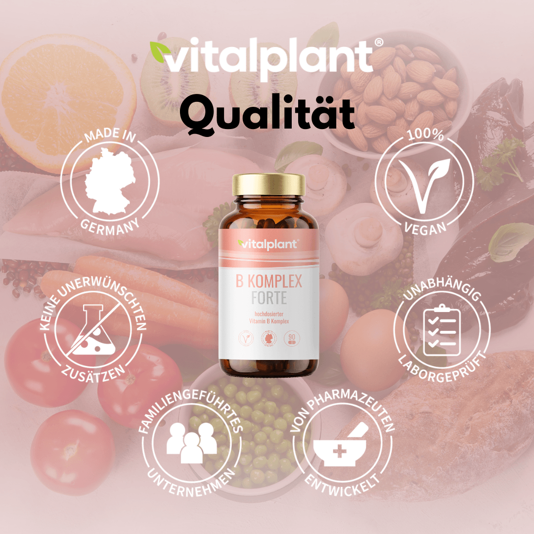 Vitamin B Komplex Forte von vitalplant: Vollständiger B-Komplex, vegan, ohne Zusatzstoffe, in Deutschland hergestellt.