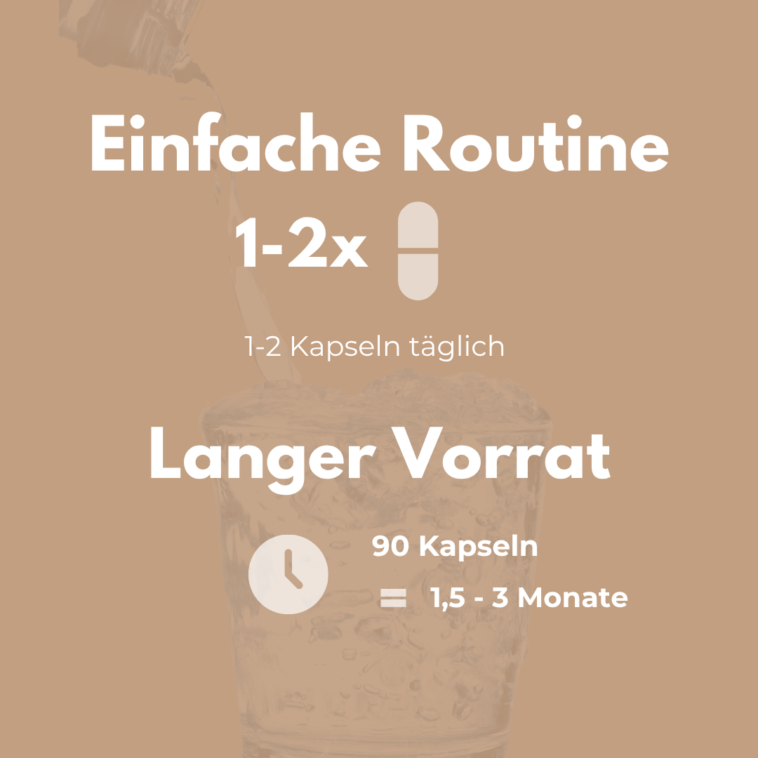 Cordyceps Kapseln