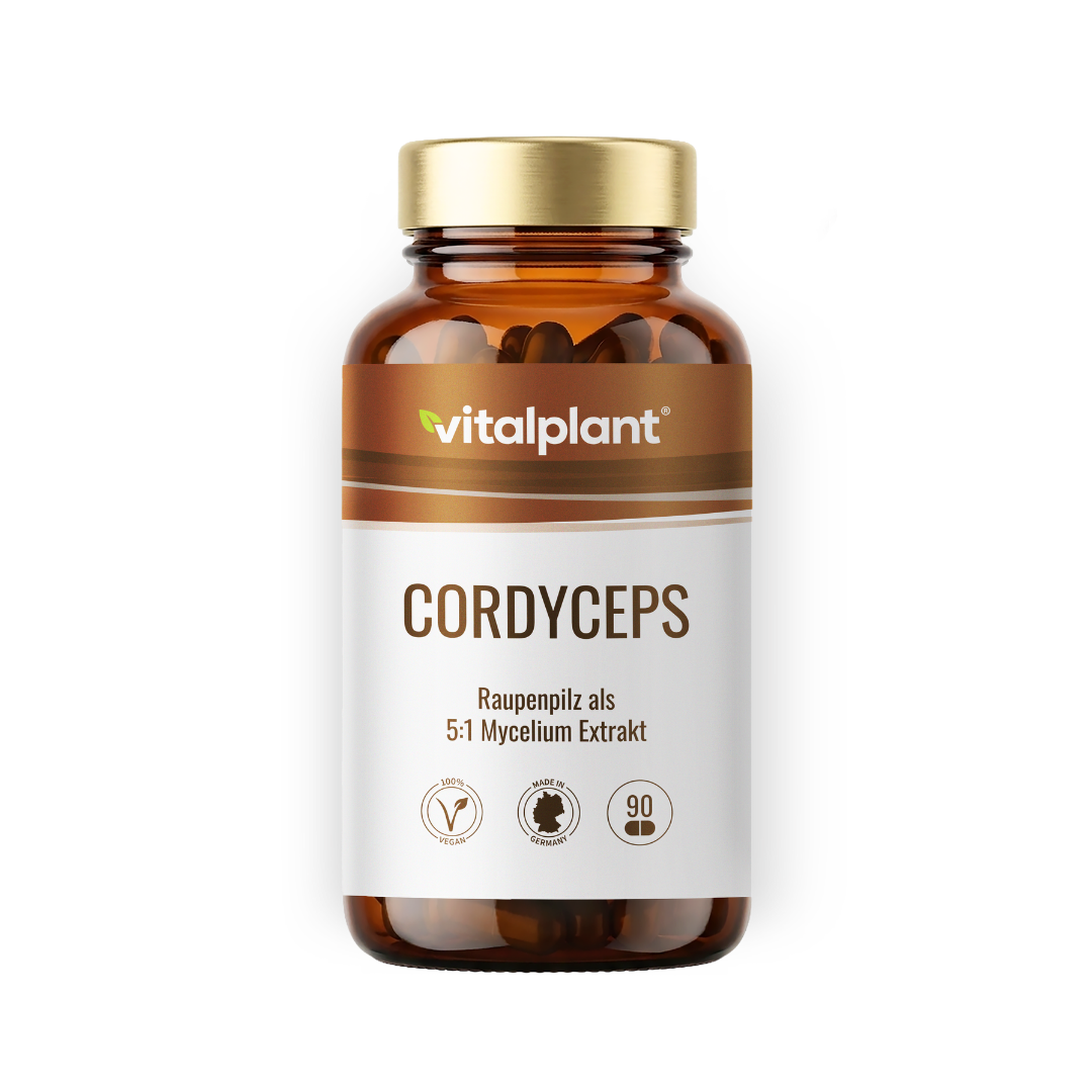 Cordyceps