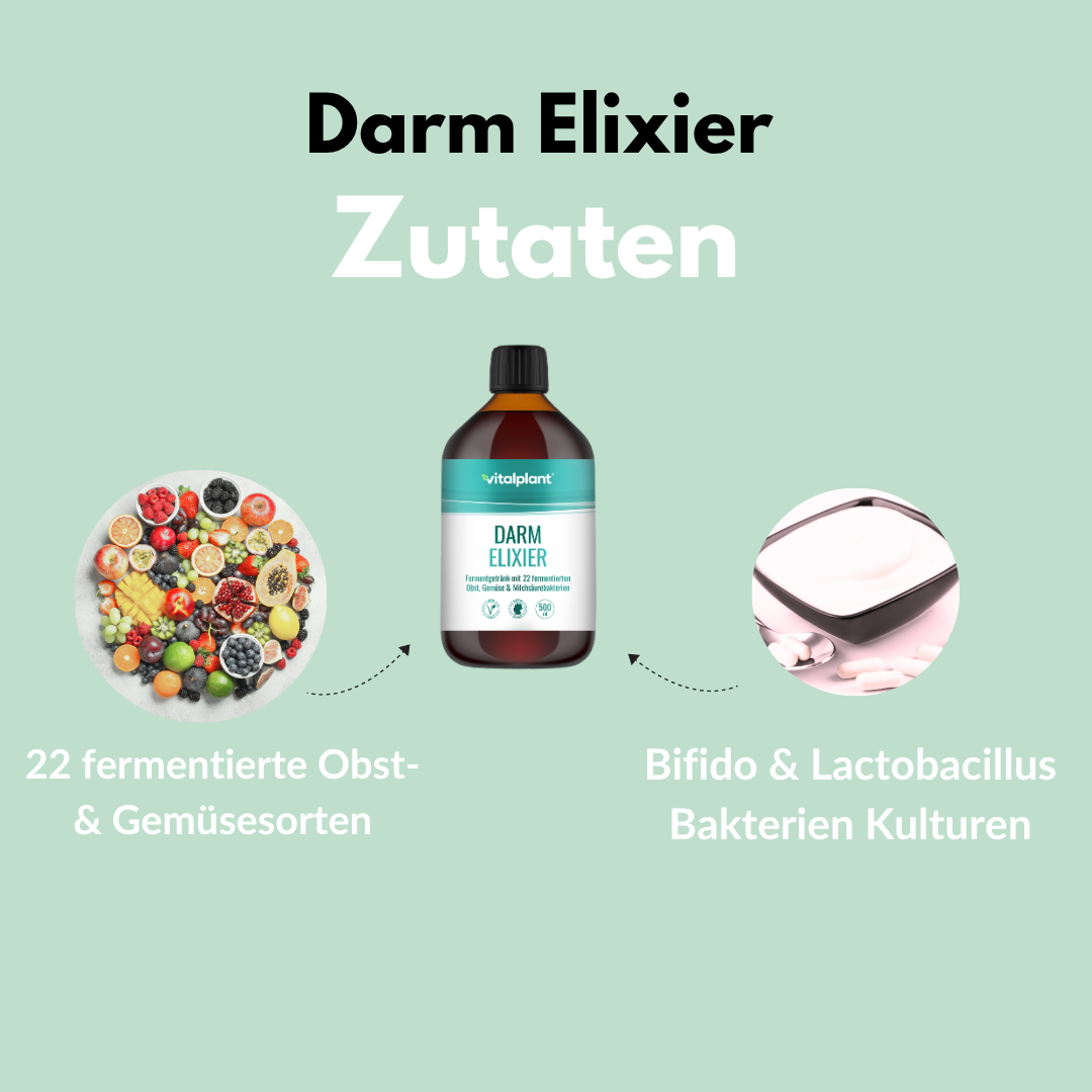 Bio Darm Elixier Fermentgetränk