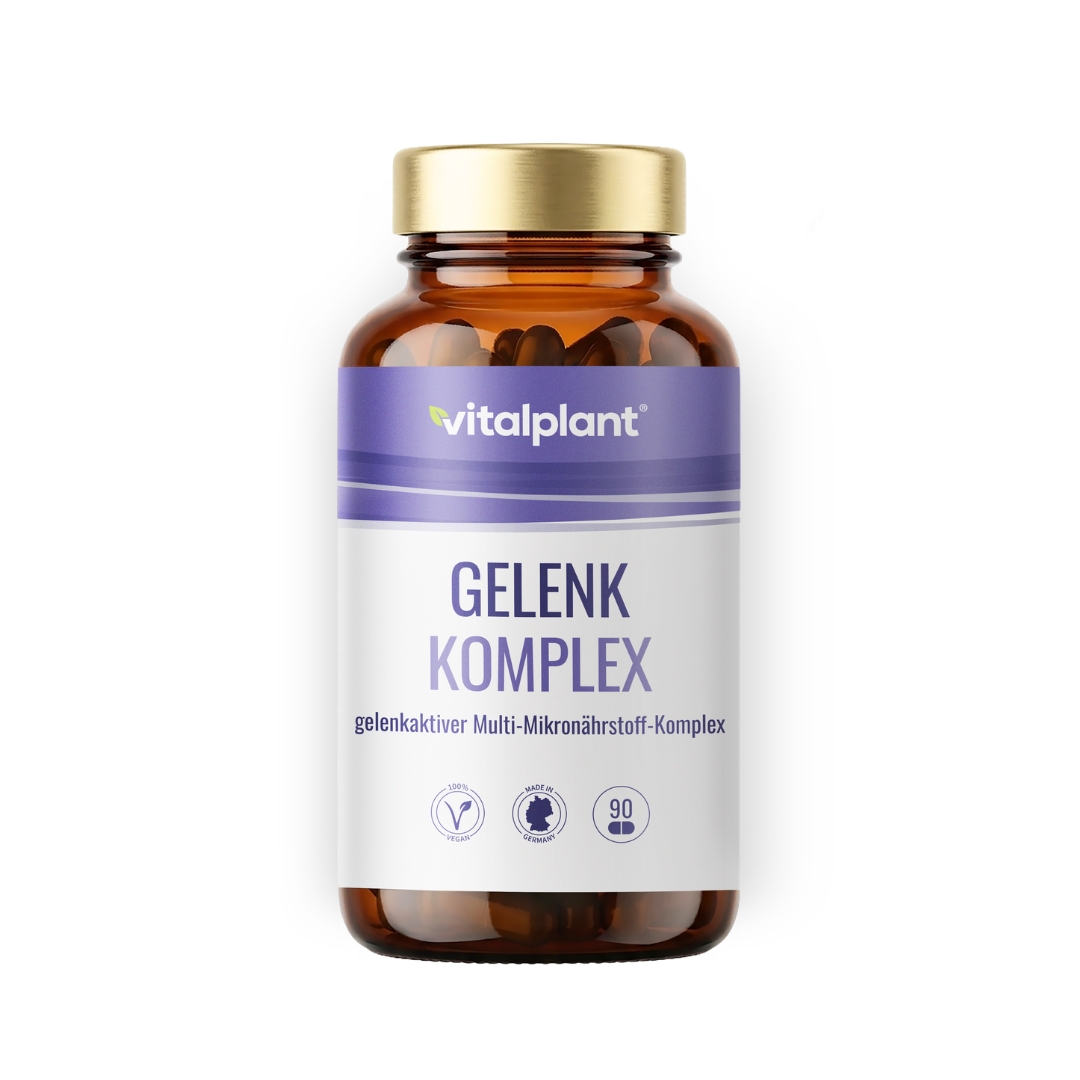Gelenk Komplex