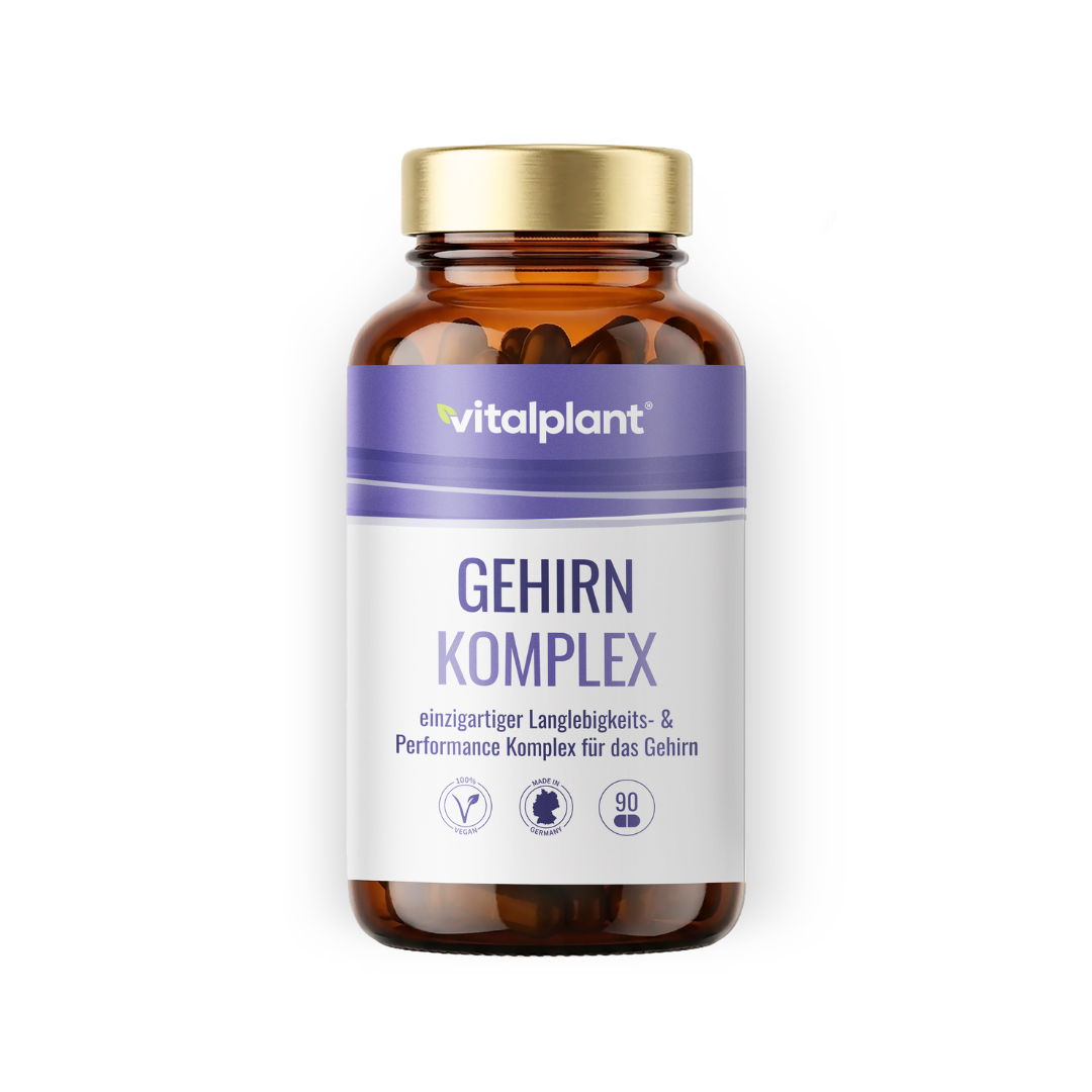 Gehirn Komplex