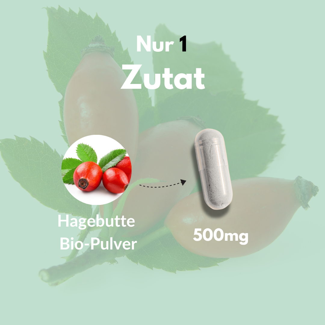 Bio Hagebutte Kapseln