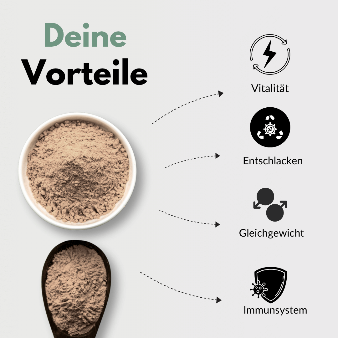 Vorteile der Mariendistel: Vitalität, Entschlacken, Gleichgewicht, Immunsystem