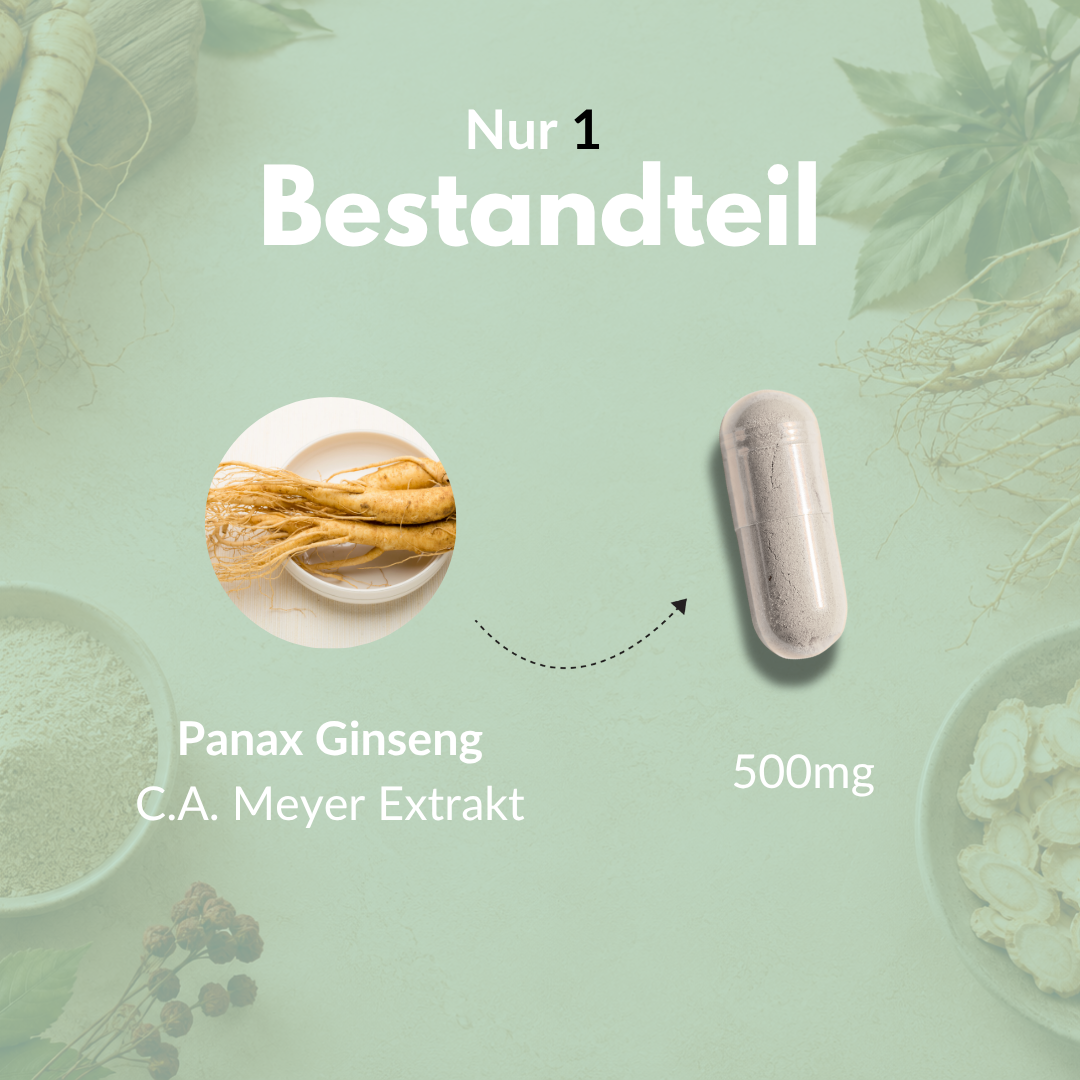 Panax Ginseng