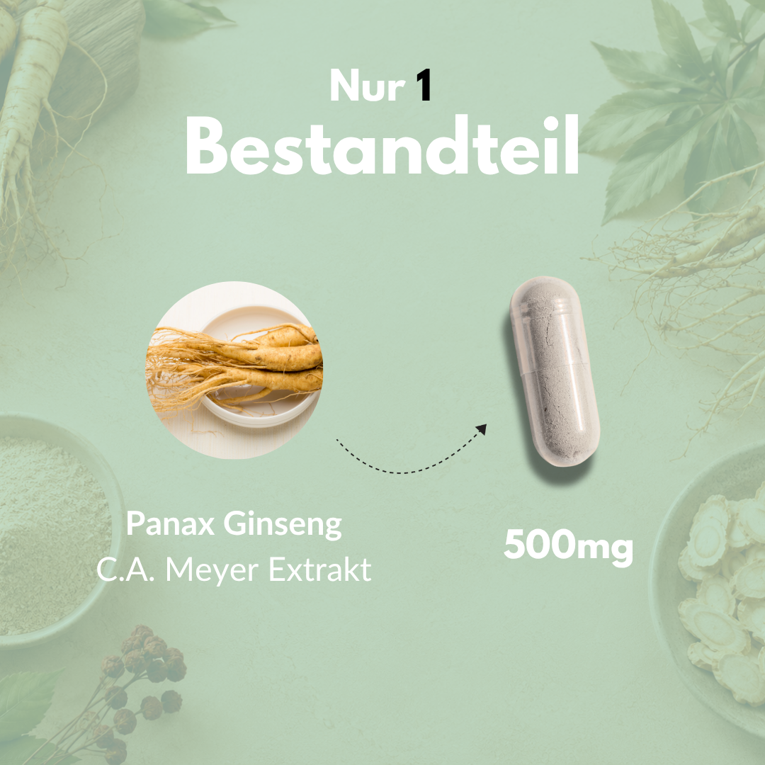 Panax Ginseng Kapseln