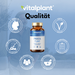 Prosta Plant capsules to support men's health with quality seals and information.