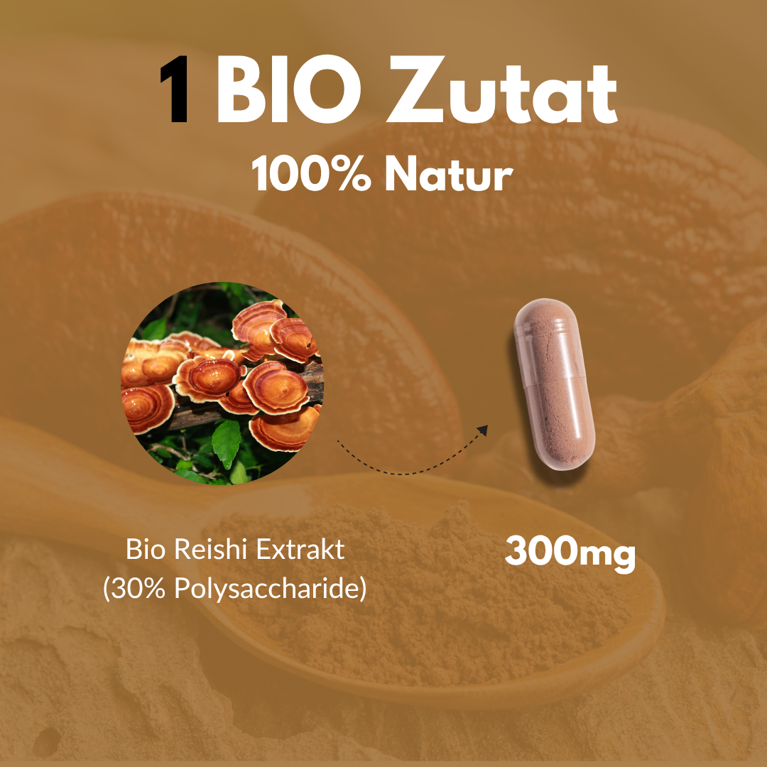 Bio Reishi Kapseln
