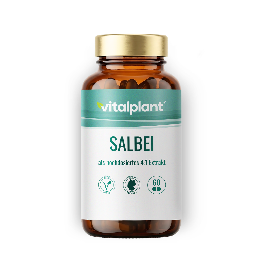Salbei
