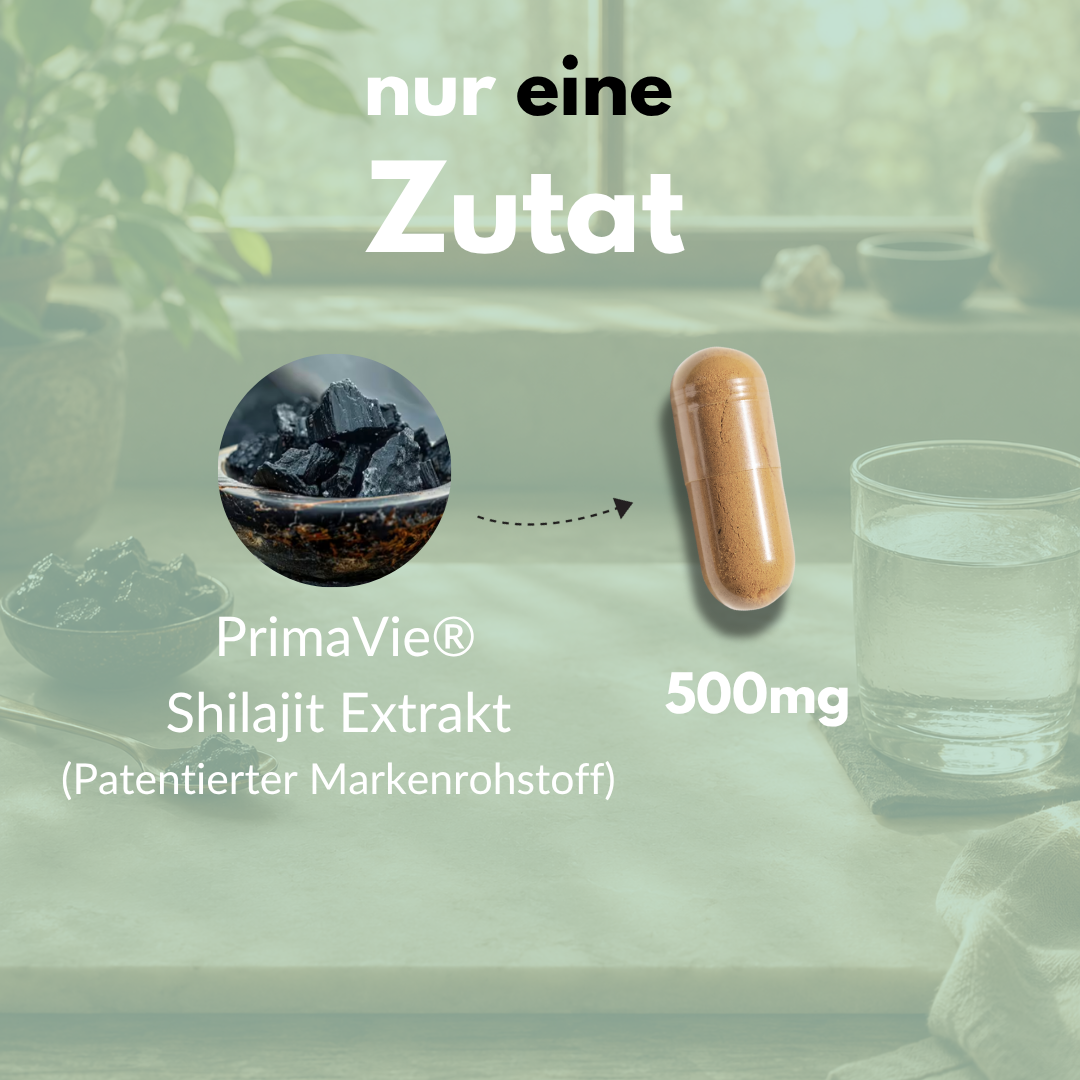 Shilajit Kapseln