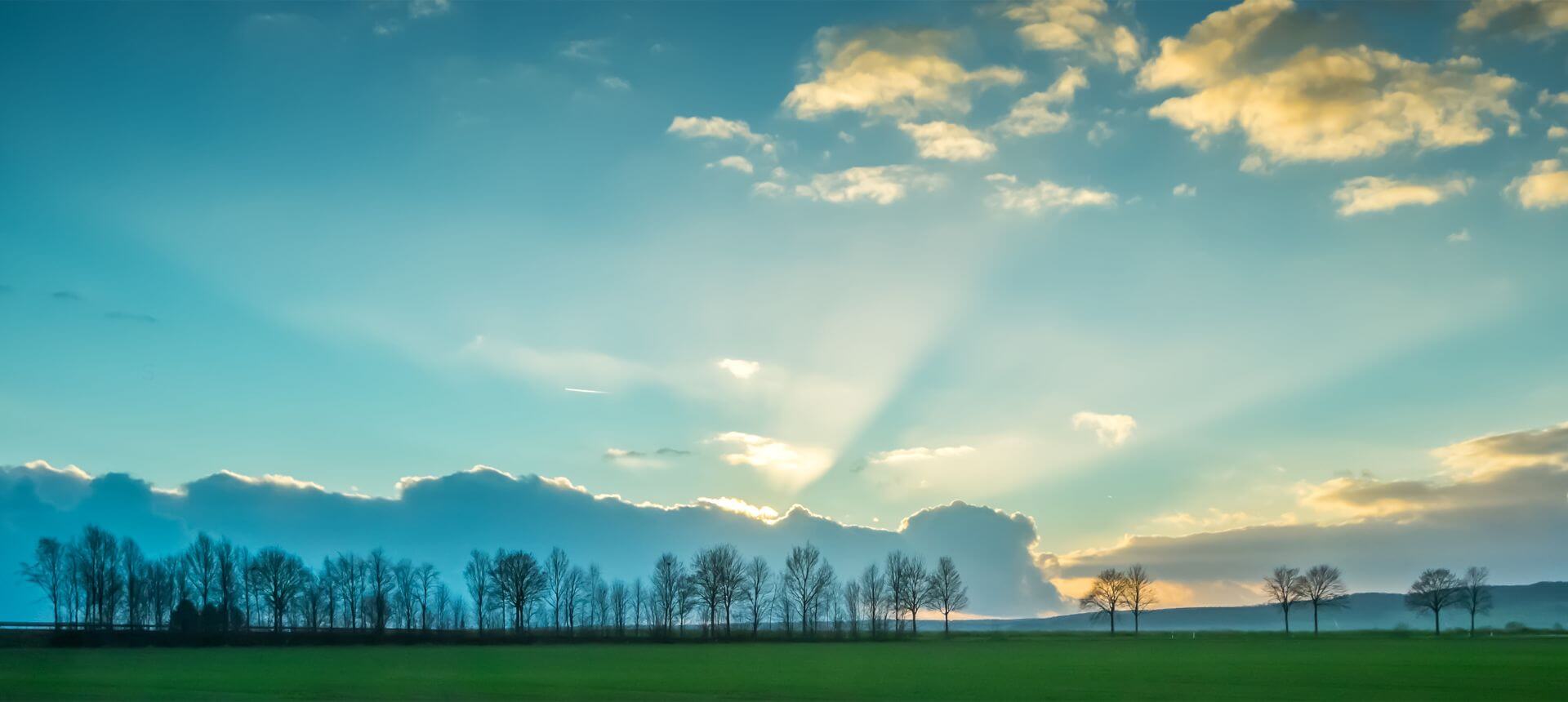 Eine bezaubernde Landschaft mit Bäumen und Wiesen