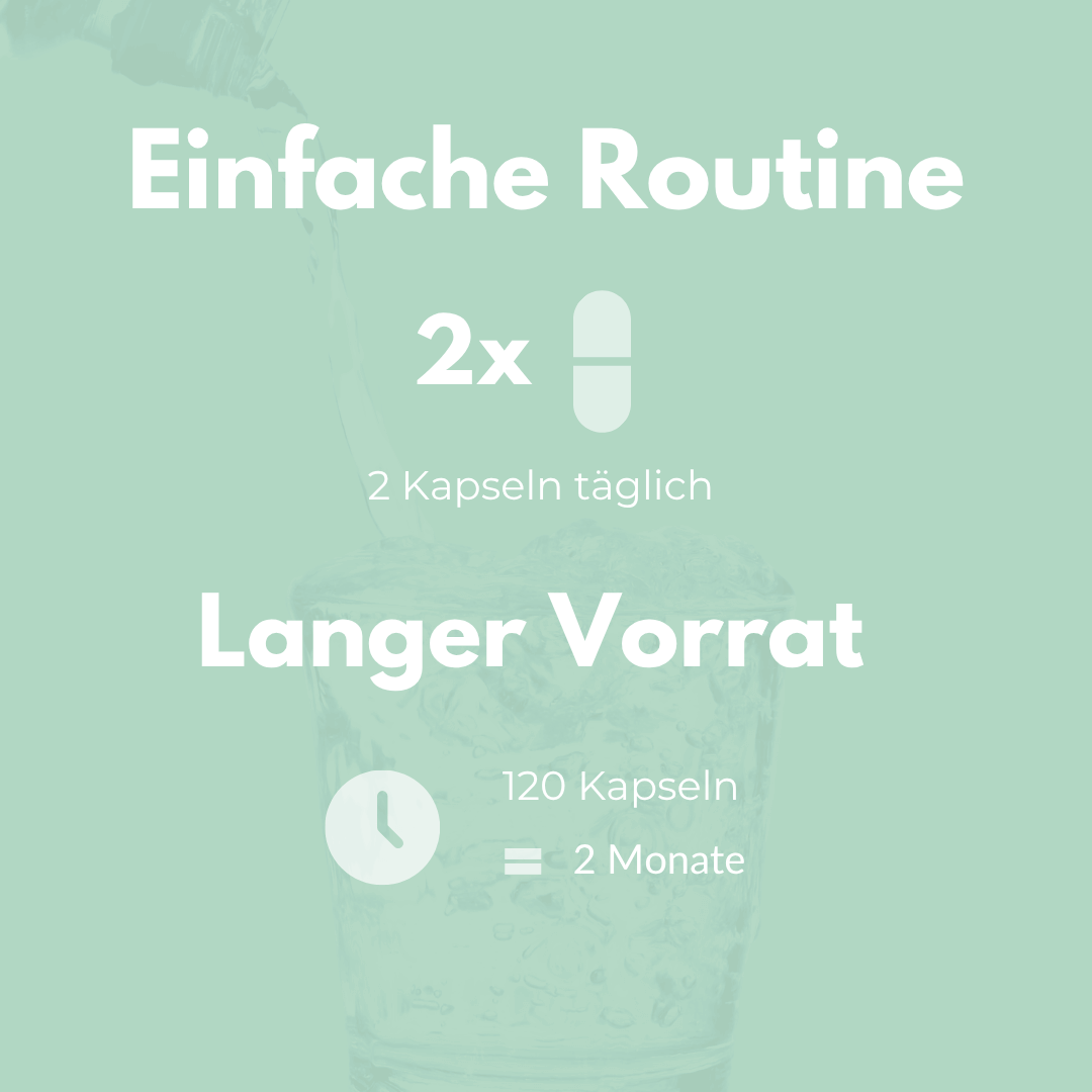Acerola Kapseln: Einfache Routine 2x täglich für 2 Monate Vorrat, 120 Kapseln.