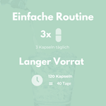 Ackerschachtelhalm Extrakt für einfache Routine mit 3 Kapseln täglich, 120 Kapseln = 40 Tage Vorrat.