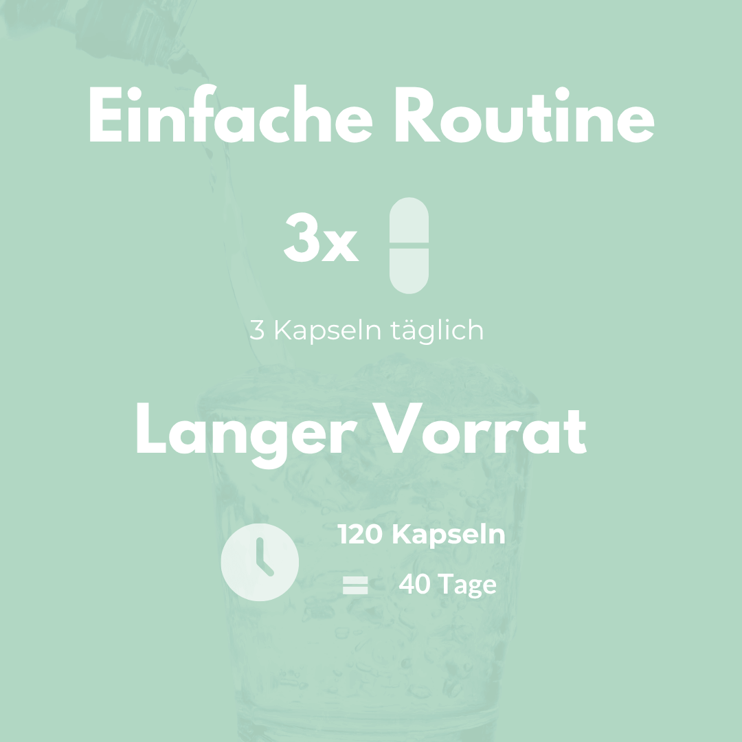 Ackerschachtelhalm Extrakt für einfache Routine mit 3 Kapseln täglich, 120 Kapseln = 40 Tage Vorrat.