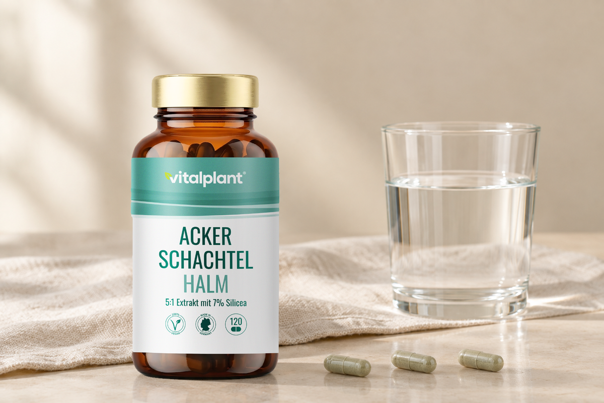 Ackerschachtelhalm Kapseln - 3 Kapseln, 105 mg Silizium