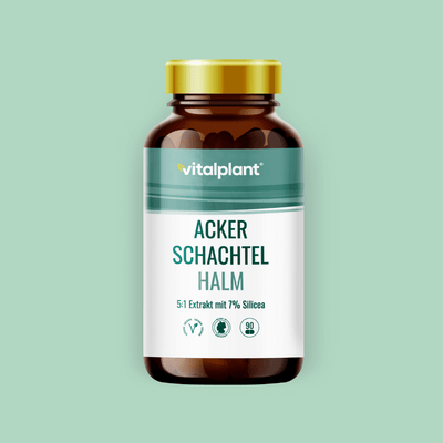 Ackerschachtelhalm Extrakt von Vitalplant in einer Kapsel-Flasche mit natürlichem Silizium-Gehalt.