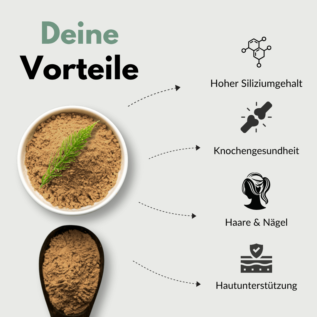 Ackerschachtelhalm Extrakt Vorteile: Hoher Siliziumgehalt für Knochen, Haare, Nägel und Hautunterstützung.