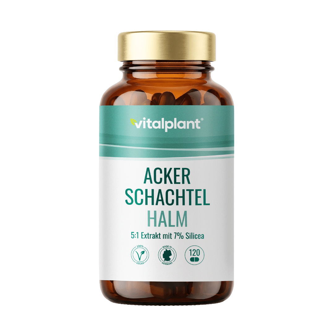 Ackerschachtelhalm capsules in a brown glass container with 120 pieces and 7% silicon.