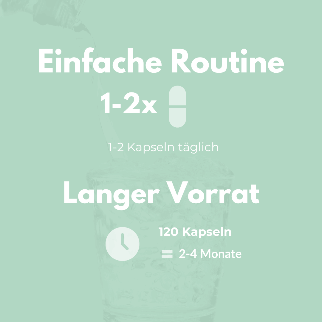 Einfaches Routinebild für Ashwagandha Kapseln, zeigt 1-2 Kapseln täglich für einen Vorrat von 2-4 Monaten.