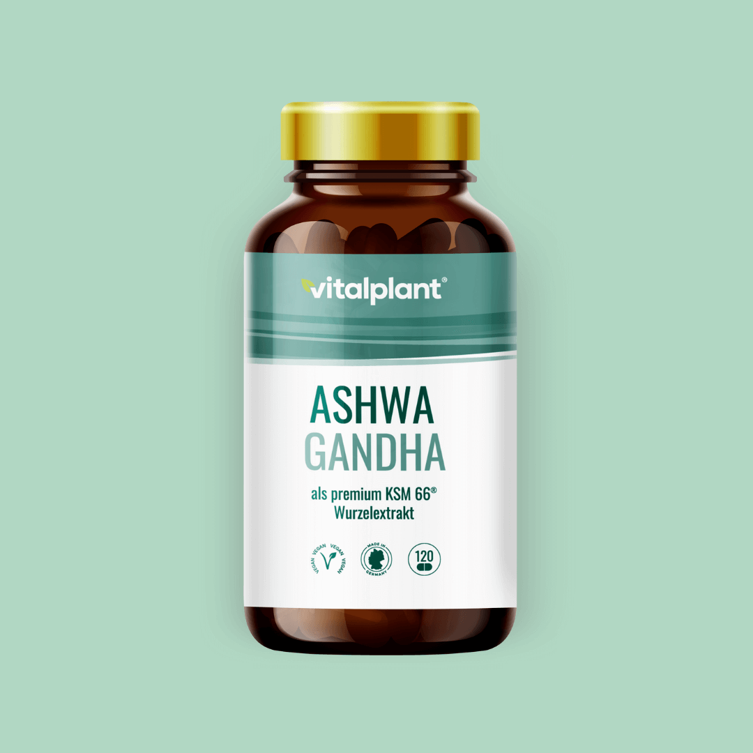 Ashwagandha Kapseln von Vitalplant in einer braunen Flasche auf grünem Hintergrund.